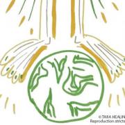 Soin des pieds nouvelle terrre